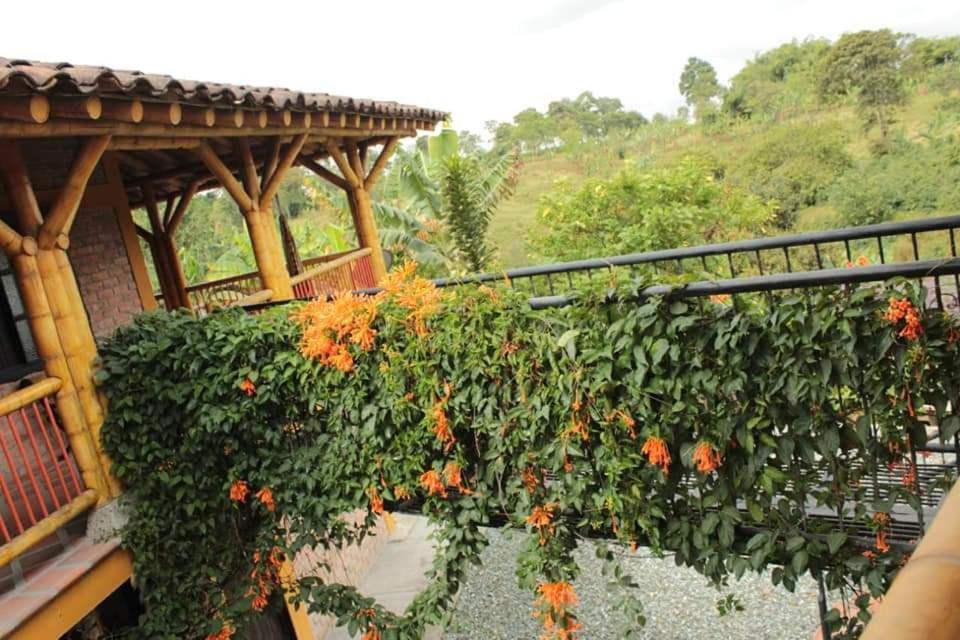 Finca El Diamante Villa Calarcá Exterior foto